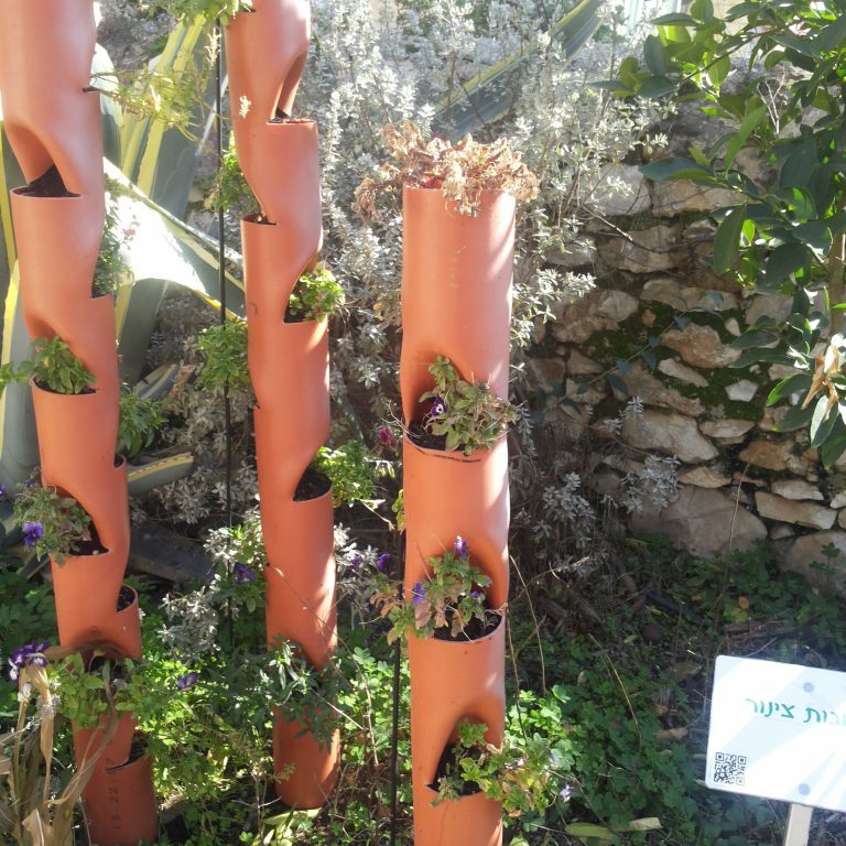 חקלאות-ביתית-גינת-מוזאון-הטבע-ירושלים